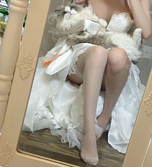 黑帮少爷爱上我有多少集_超清免费观看超清